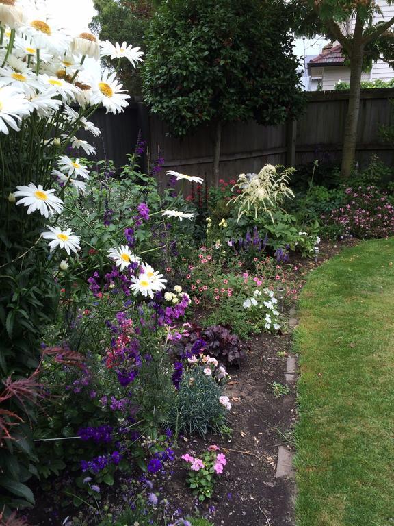 Garden Bed And Breakfast Christchurch Eksteriør billede