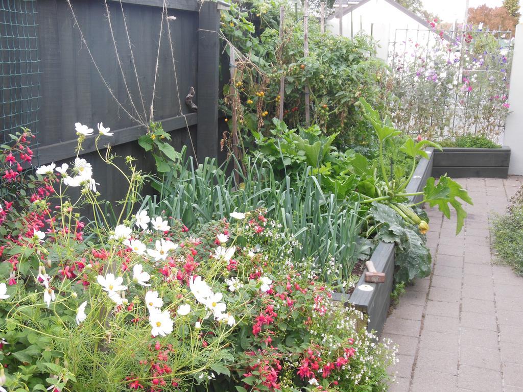 Garden Bed And Breakfast Christchurch Eksteriør billede
