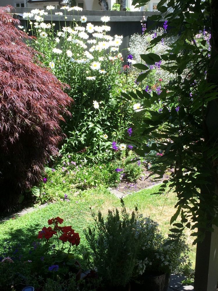 Garden Bed And Breakfast Christchurch Eksteriør billede