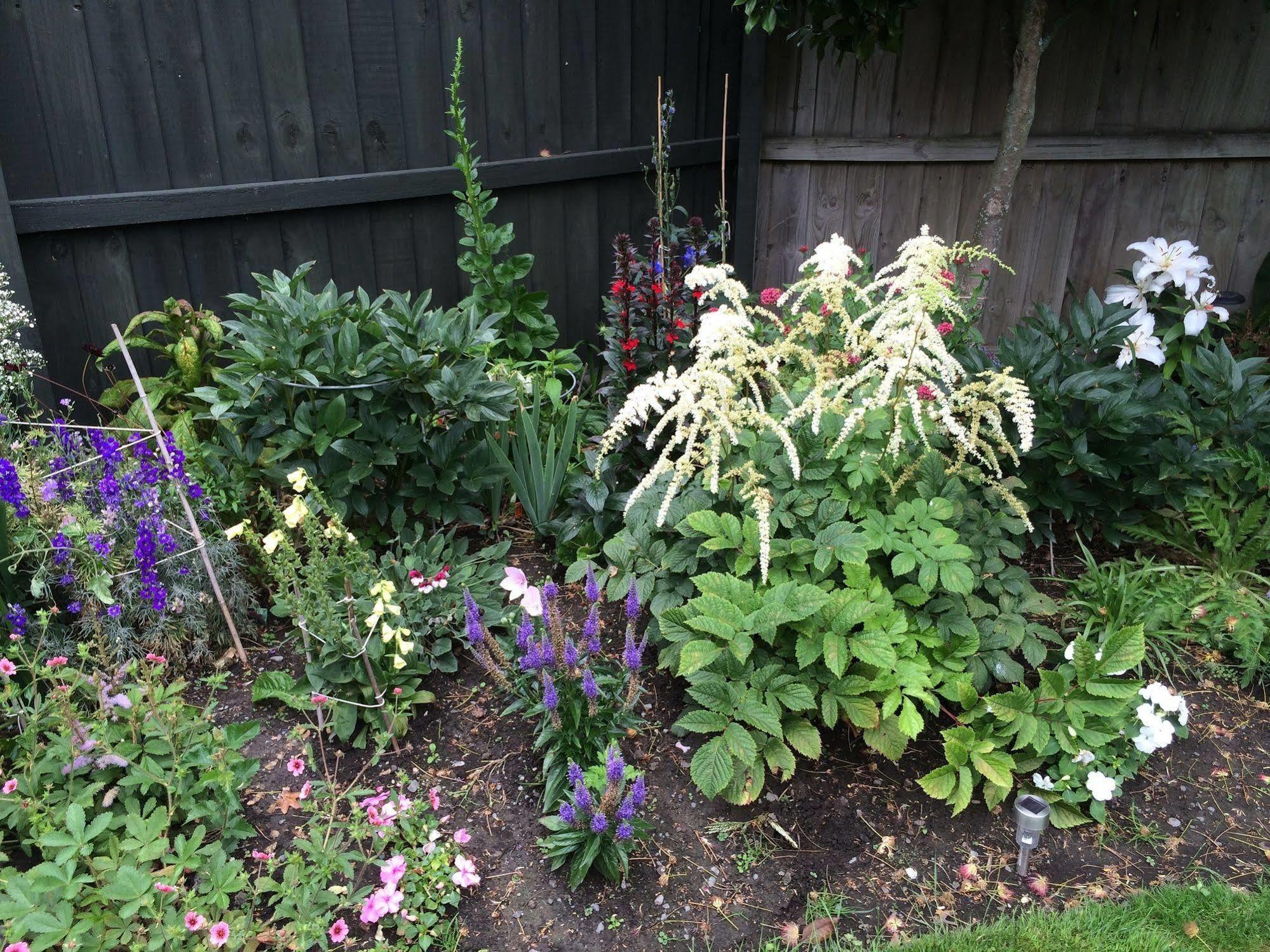 Garden Bed And Breakfast Christchurch Eksteriør billede