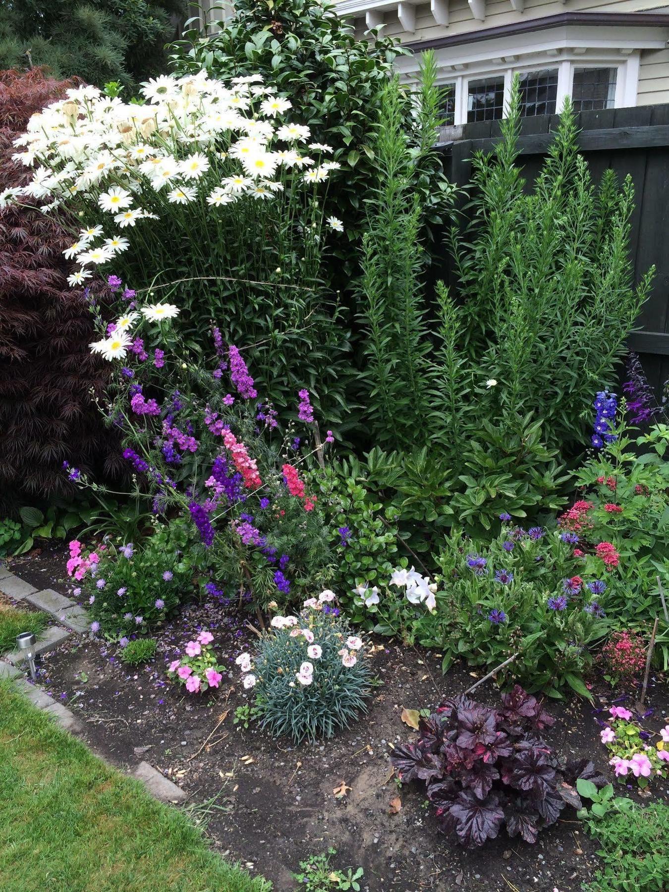 Garden Bed And Breakfast Christchurch Eksteriør billede